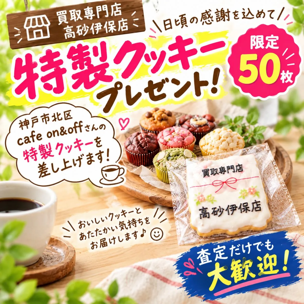🎁【限定50枚!】🎁